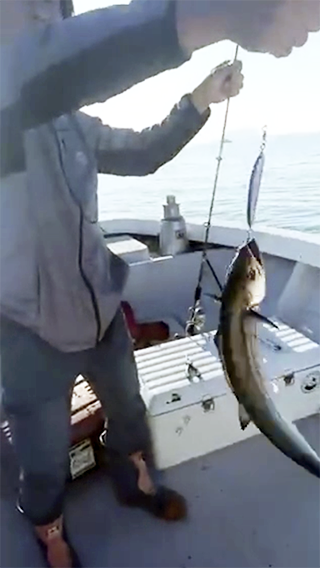 Jig Minnow Chance type 1